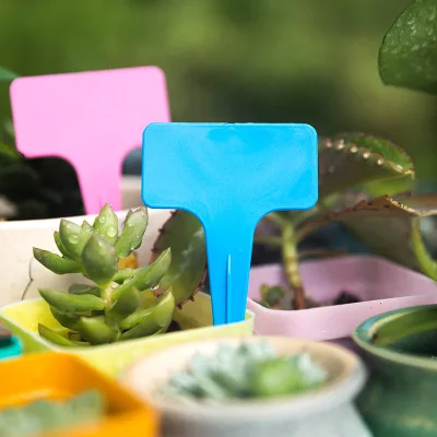 

100PC Plastic Plant T-type Tags Markers Nursery Tray Garden Labels Seed Signs Label Pot Marker for Plants DIY Garden Decoration