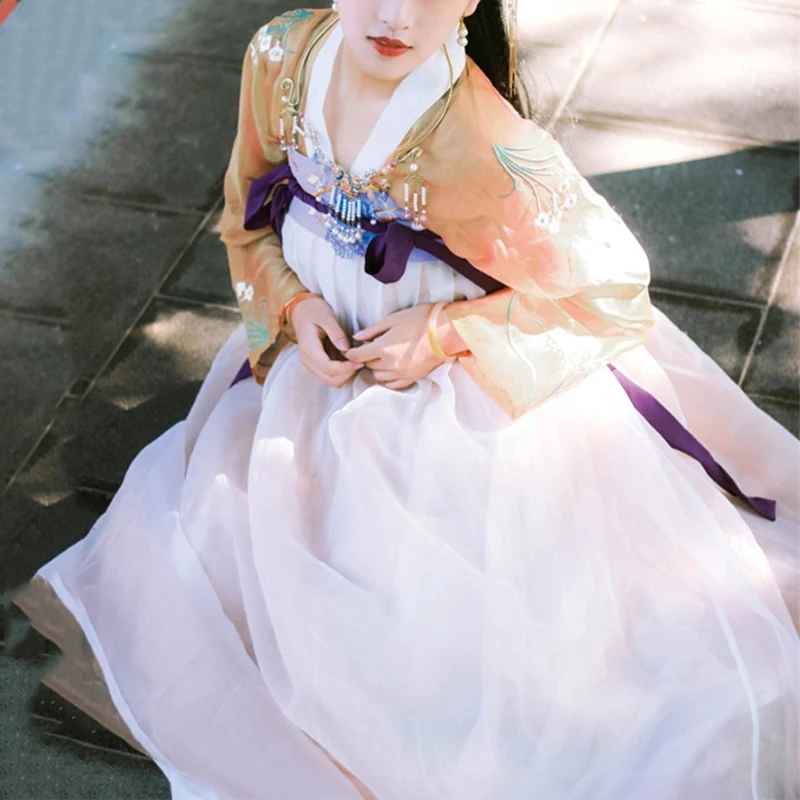 Элегантный Hanfu для женщин Костюм для китайского традиционного танца Костюм народное платье Восточный фестиваль наряд сценическая одежда DC1833