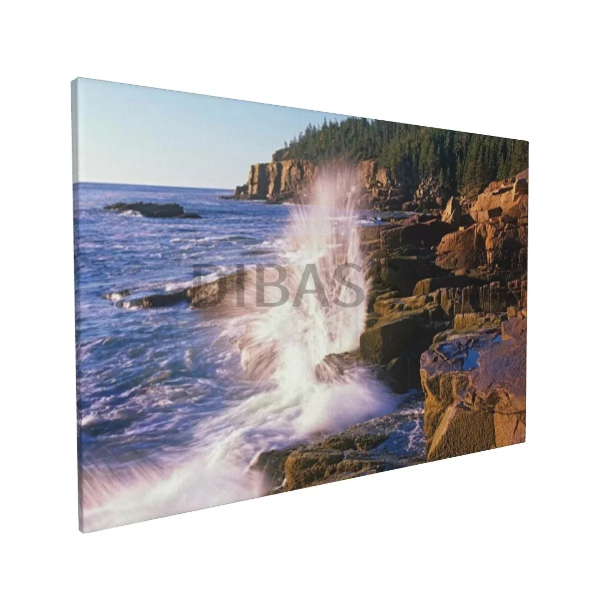 

Atlantic Near Thunder Hole, Acadia National Park Canvas Print Framed Wall Art Painting Home Decor for Living Room,Bedroom