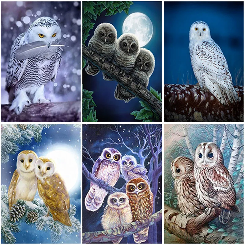 

DIY Owl 5D Diamond Painting Full Round Drill Birds Diamond Embroidery Cross Stitch Rhinestones Wall Art Home Decor
