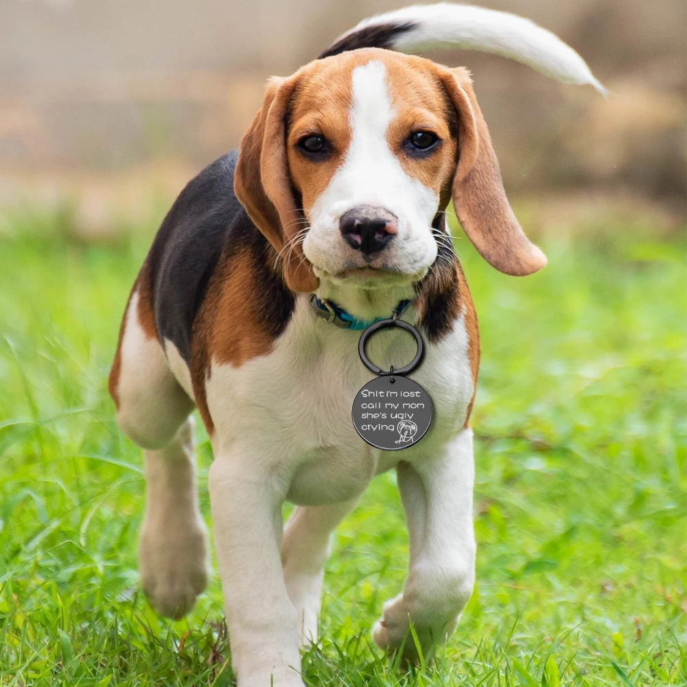 

Anti-lost Double Side Dog Tags Gifts for Dog Lovers Pet Collar Tags for Dog Owner Engraved Pet Tag New Puppy Tag Gifts