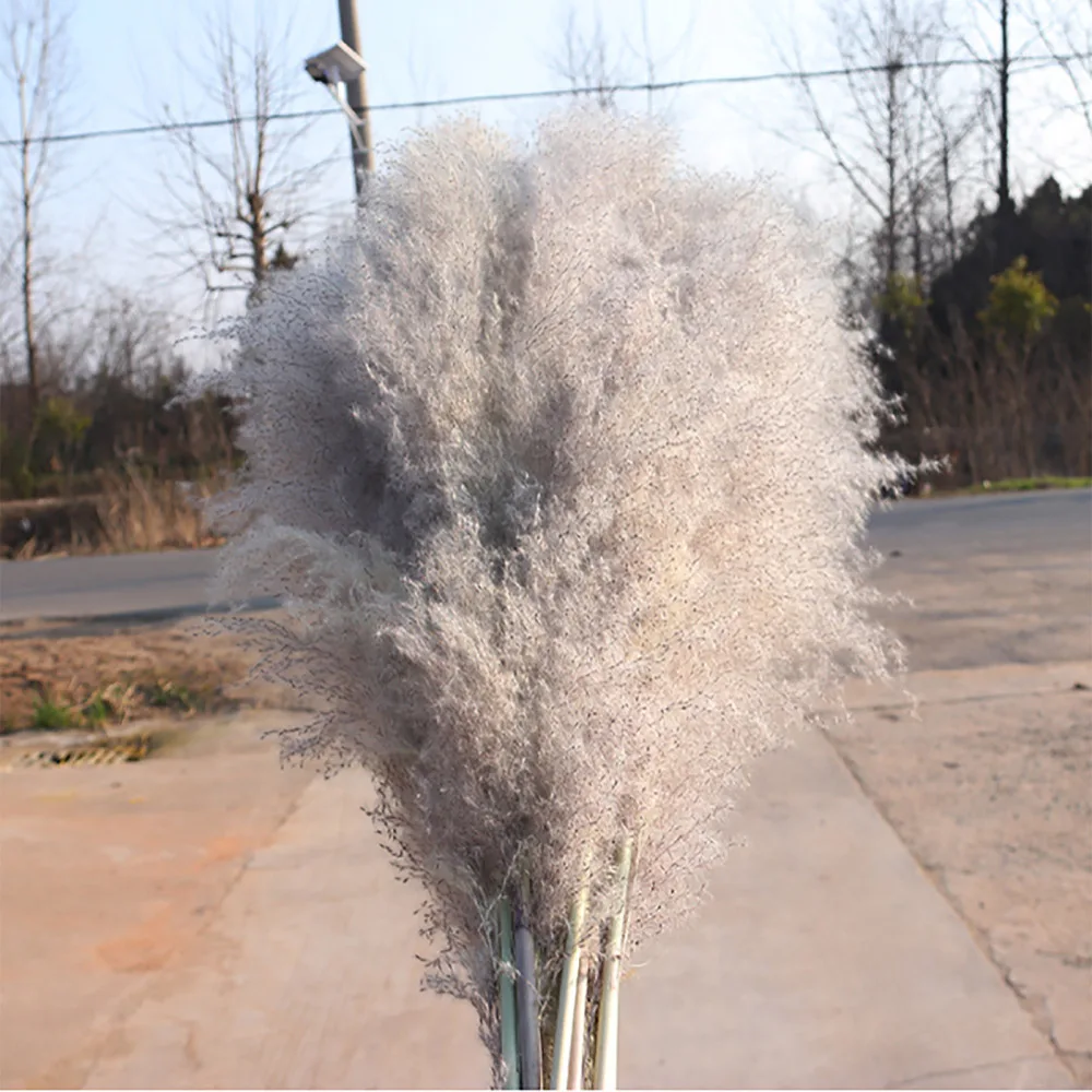 60 см большой тростник пампасная трава для офиса 15 шт. дома пушистые без выпадения