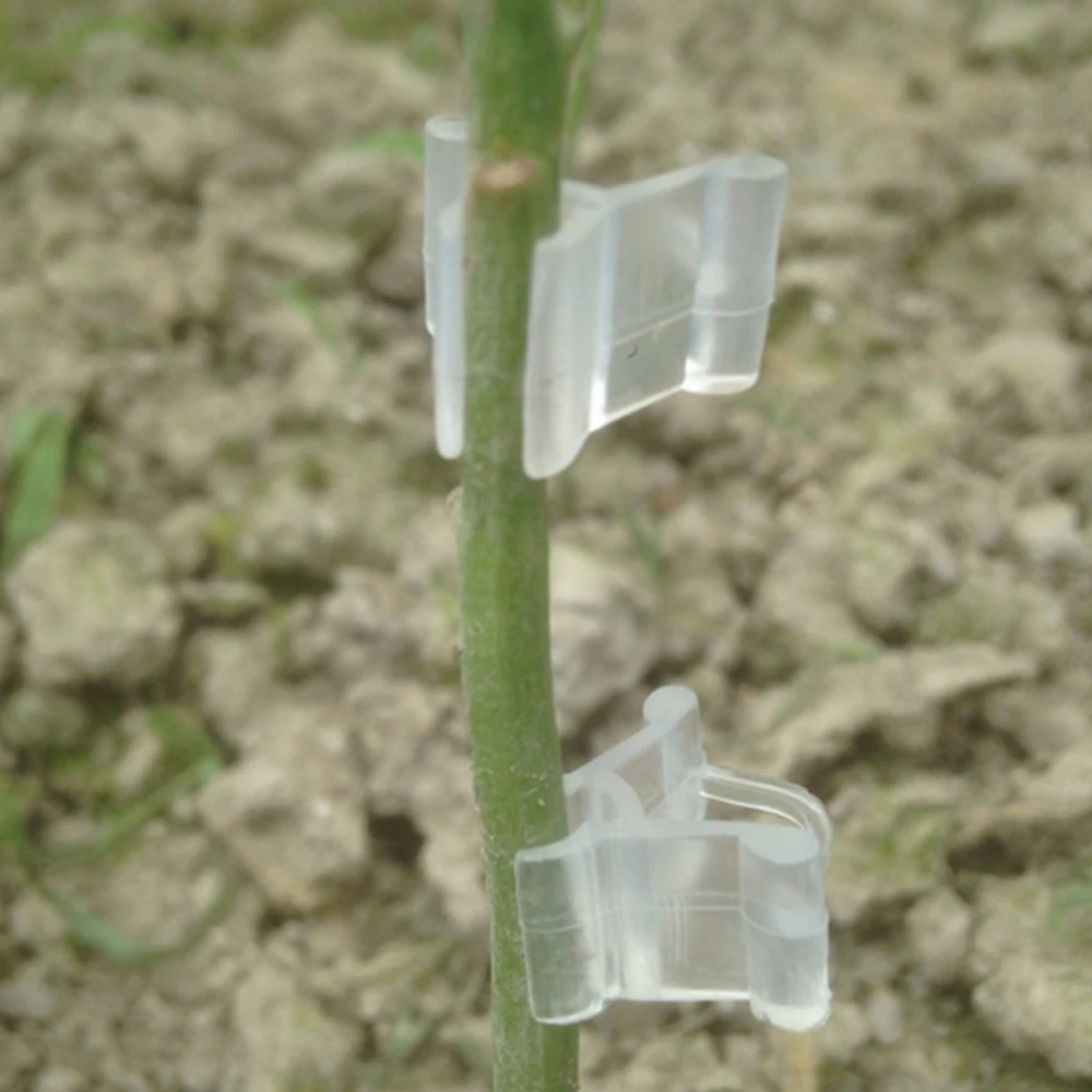 100 шт./упак. мини прозрачный Пластик зажимы для трансплантата подвязки томатов