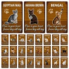 Kelly66 животные, кошка, Бомбей, сиамская экзотическая бездневая металлическая вывеска, домашний декор, бар, настенная живопись, 20*30 см, размер Dy146