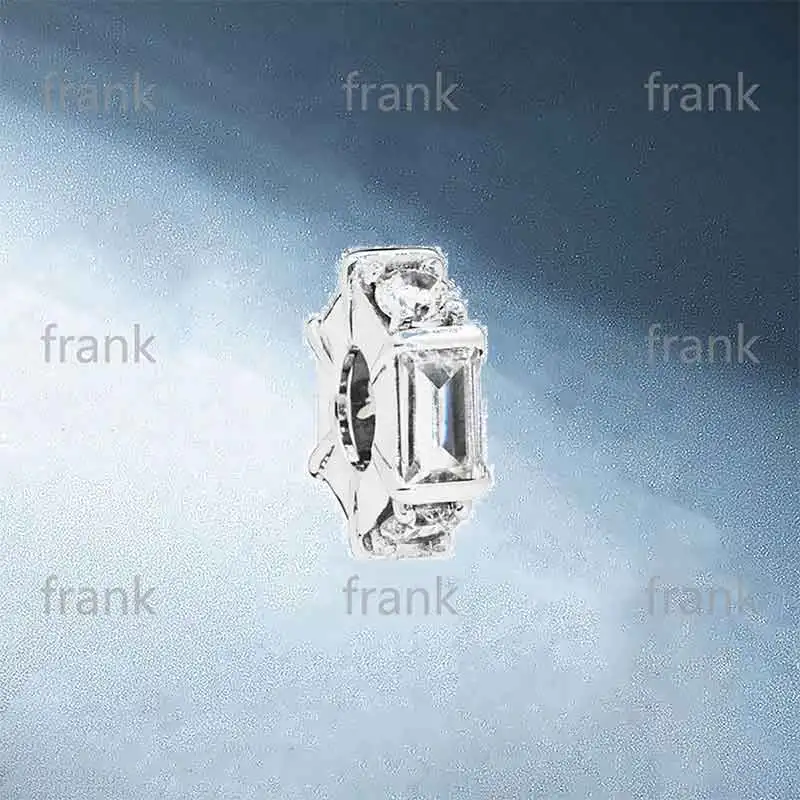 

797529CZ-Ice-Sculpture-Spacer-Charm