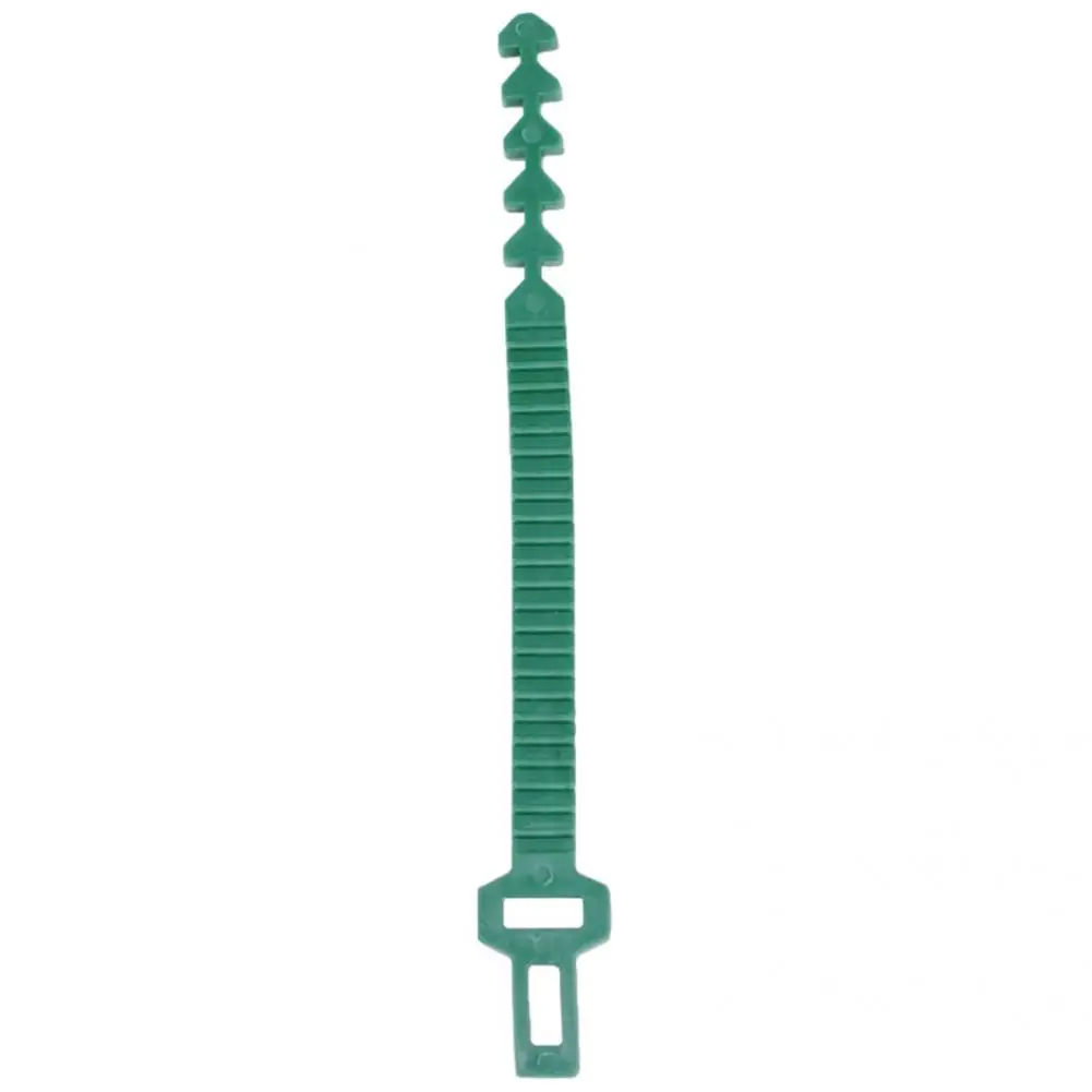 

Green 10Pcs Convenient Climbing Plants Tree Ties Plastic Shrub Ties Rustless for Stakes