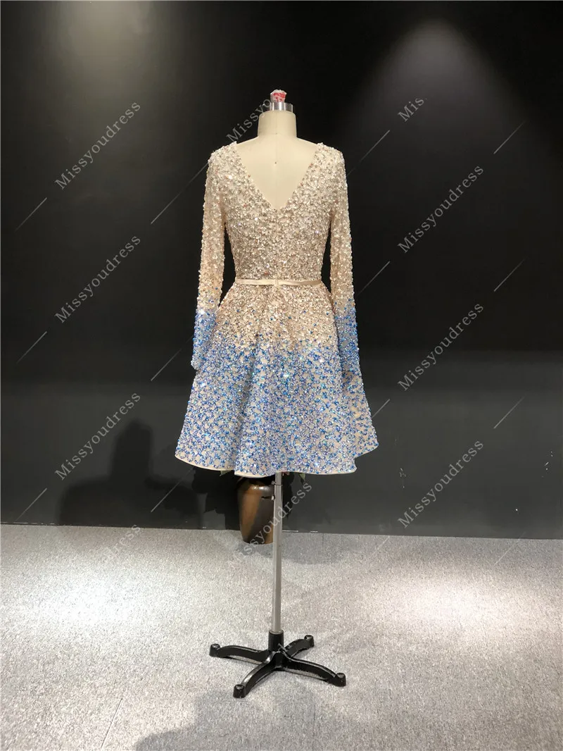 ElieSaab 2021 Champagne Blue Evening Dress Real Photo High Quality Customized Long Sleeves Short Length Prom Party Dancing Dress