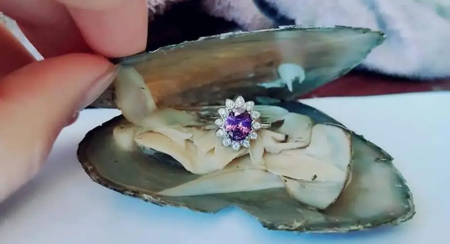 Лучшая цена! Новый пресной воды устрицы с случайный смешанный стерлингового