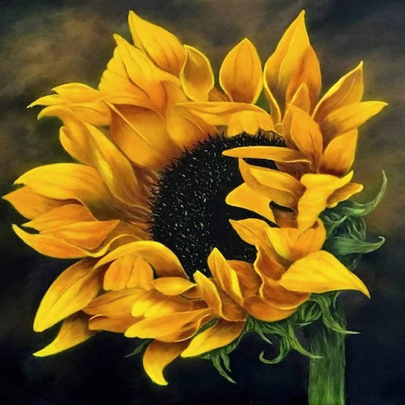 

Photo Custom Full Round sunflower Diamond Painting 5d Diamond Embroidery Cross Stitch Diamond Mosaic Kits Birthday Gift