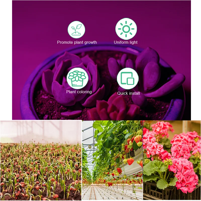 Светодиодный Grow светильник полный спектр 2835 чипы Фито лампа для выращивания