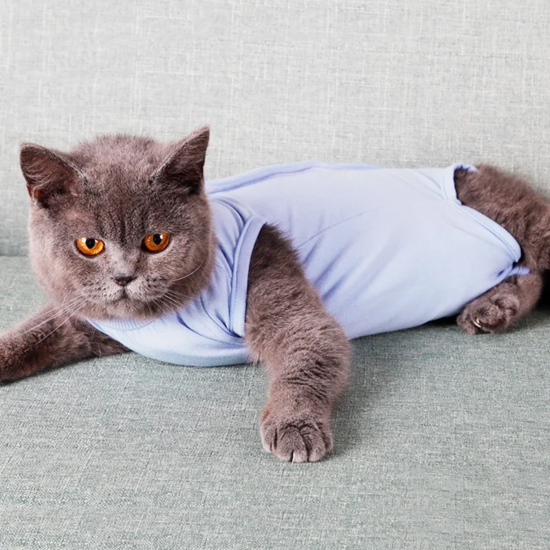 Жилет для лечения кошек собак футболка одежда хлопковый костюм восстановления