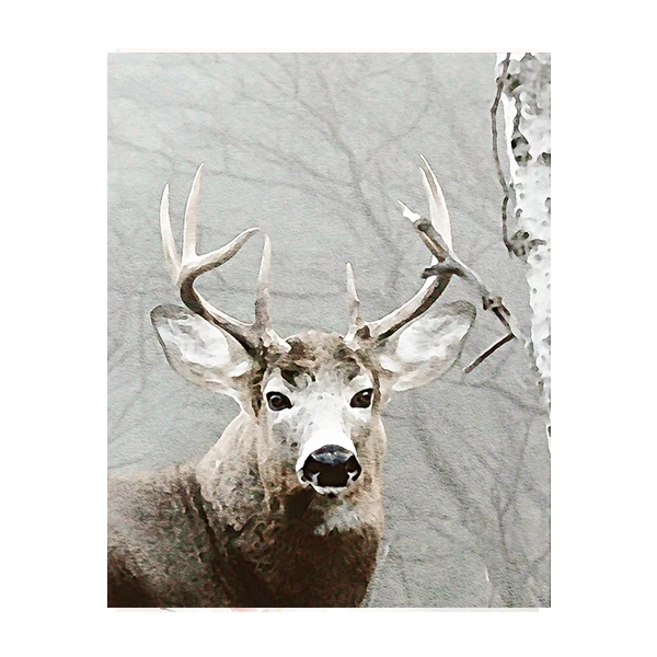 Акварельный Зеленый пейзаж кактус плакаты суккулент скандинавский стиль сад