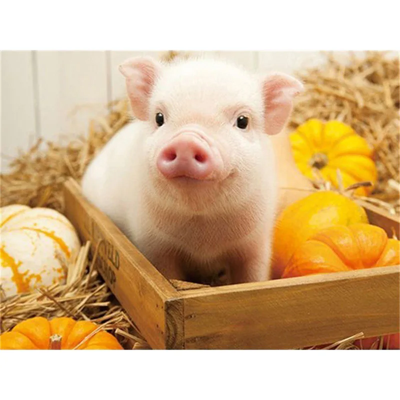 

Алмазная живопись, свинка, домашний декор, 5d «сделай сам», полная вышивка, мозаика, животные, алмазная живопись, искусство