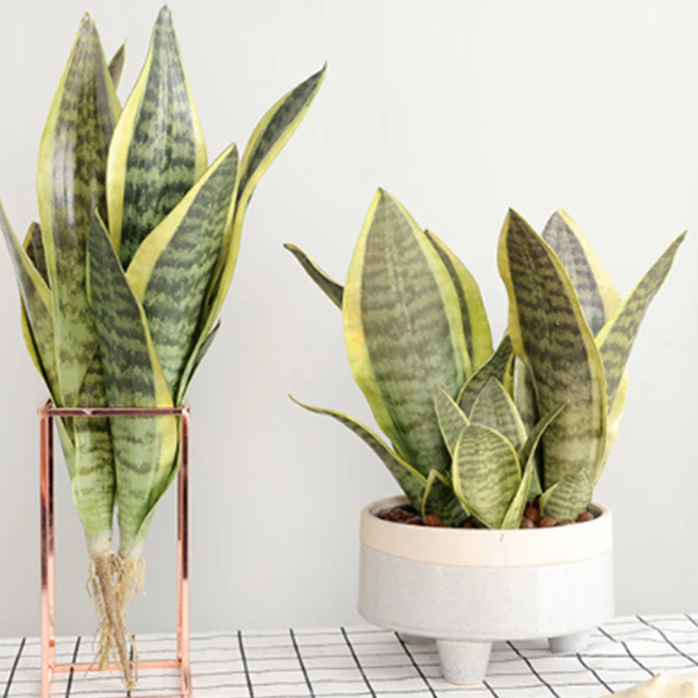 Имитация суккулентов Агава искусственный цветок Sansevieria Trifasciata Prain искусственные
