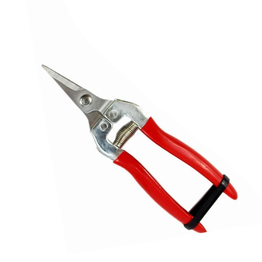 Нержавеющая сталь дерево обрезка сада травяные ножницы резак фруктов садовые