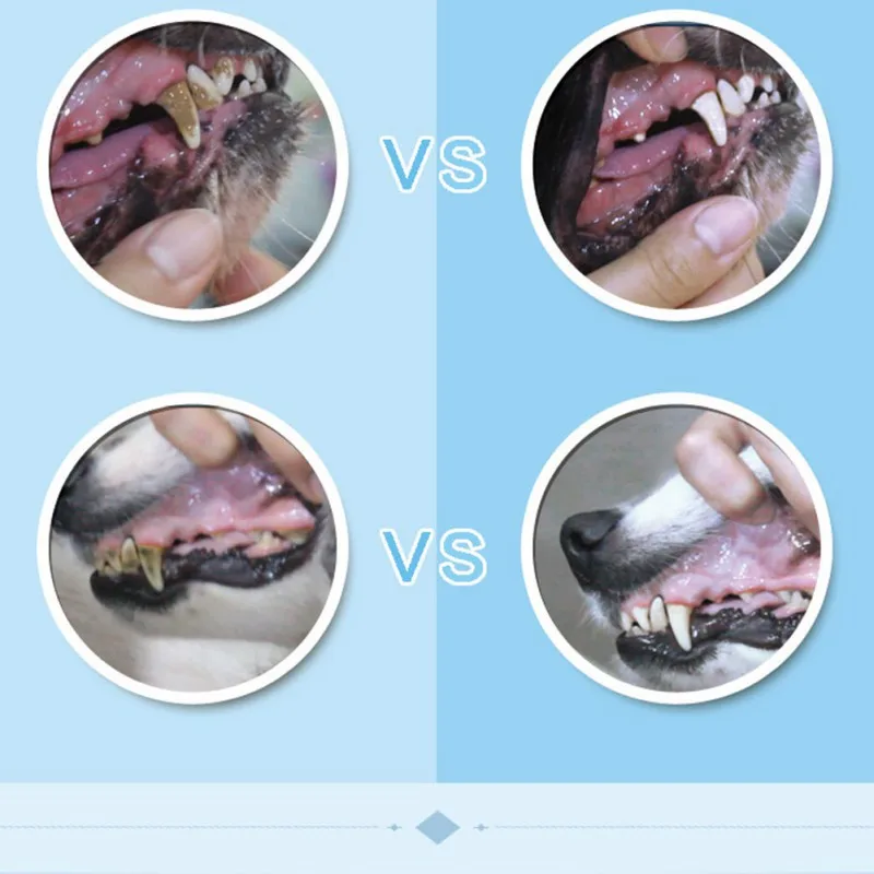 

4/5/6Pcs Pet Teeth Cleaning Tools Stainless Steel Double Sided Dog Cat Oral Grooming Kit For Plaque Calculus Tartar Remover