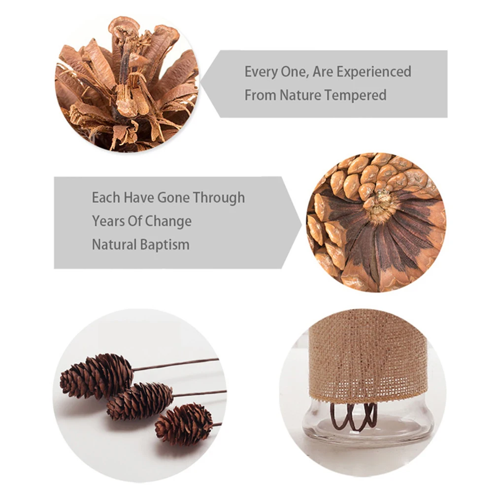5 шт./компл. оригинальные сосновые орехи натуральные сухие цветы крестины шишки
