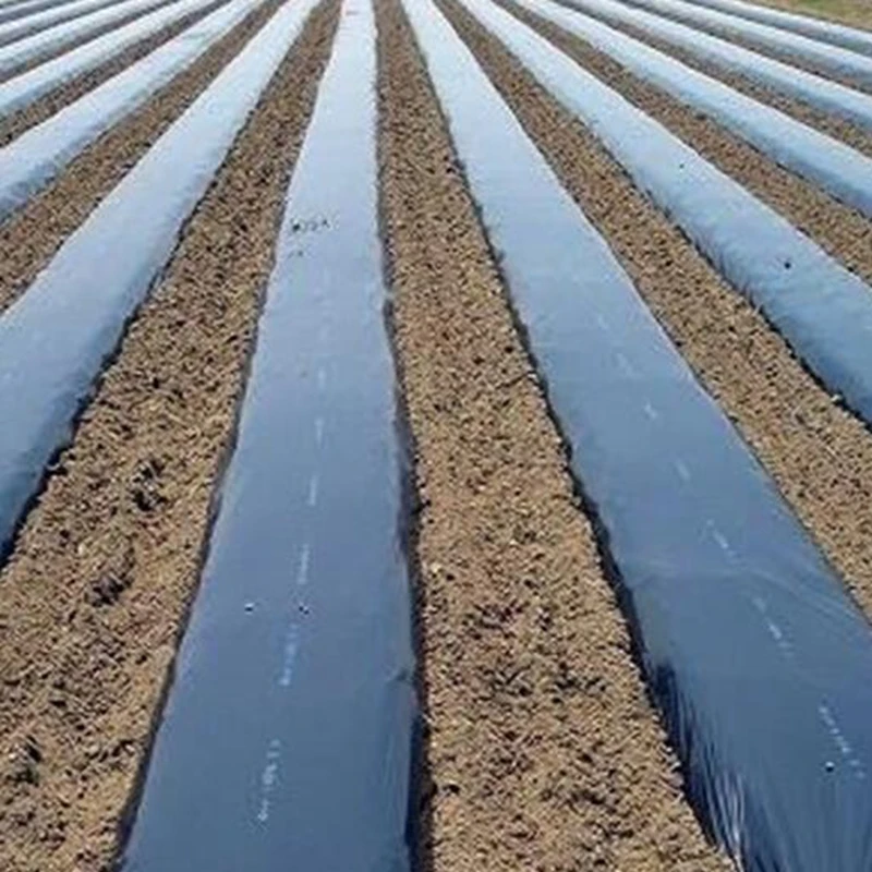 10 м 0 008 мм Мульч пленка ПЭ черная пластиковая для защиты сада от мороза сохраняет
