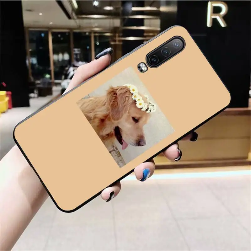 Чехол для телефона с изображением собаки золотистого ретривера Huawei P40 P30 P20 lite Pro