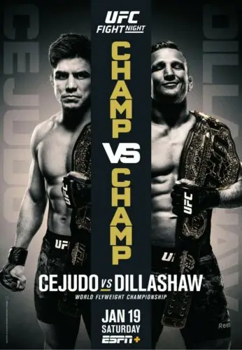

233 Cejudo vs Dillashaw художественный Шелковый плакат домашний декор для стен