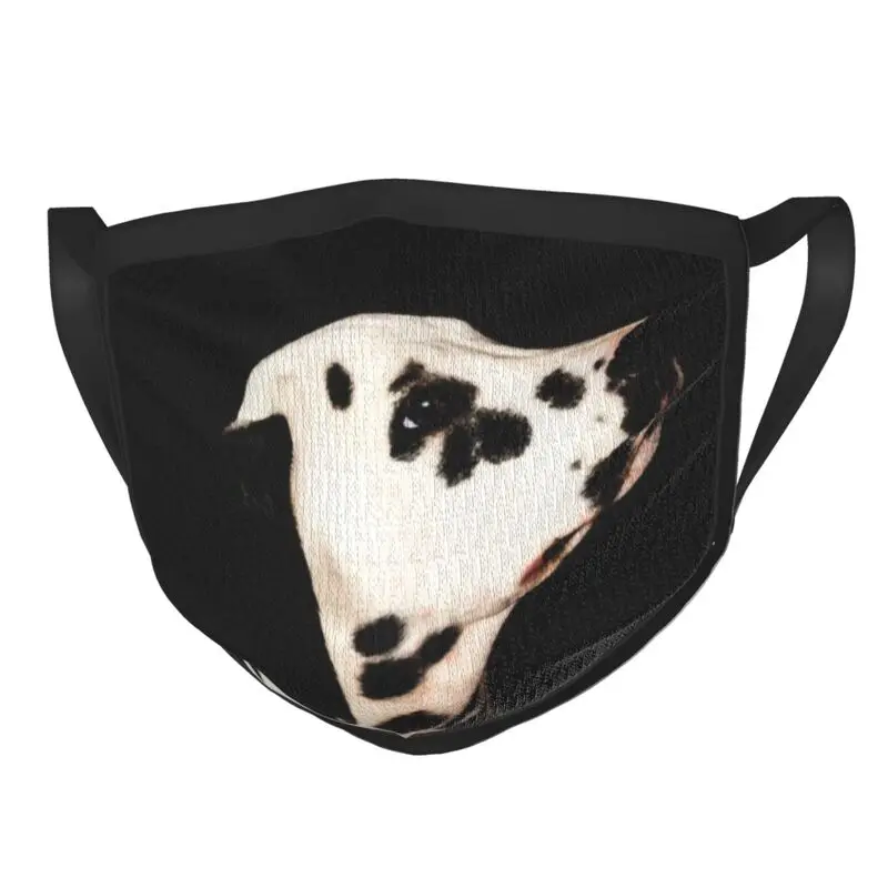 

Далматинская маска, моющаяся унисекс маска для грудинга, каретки, лица собаки, маска против смога, пылезащитный чехол, респиратор, маска