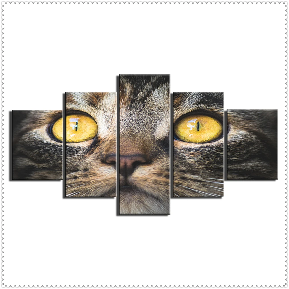 

HD 5 Pieces Pet Cat Animal Pictures Posters Wall Art Home Decor for Living Room Painting on The Wall Cat Pet Pictures Wall Art
