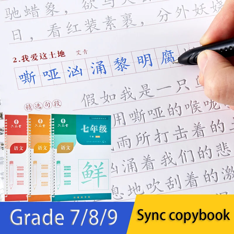 

7/8/9 Grade Copybook Books Pupils Practice With Pencil Copy Course Synchronization Red Livres For Beginner Hong Libros Libro Art