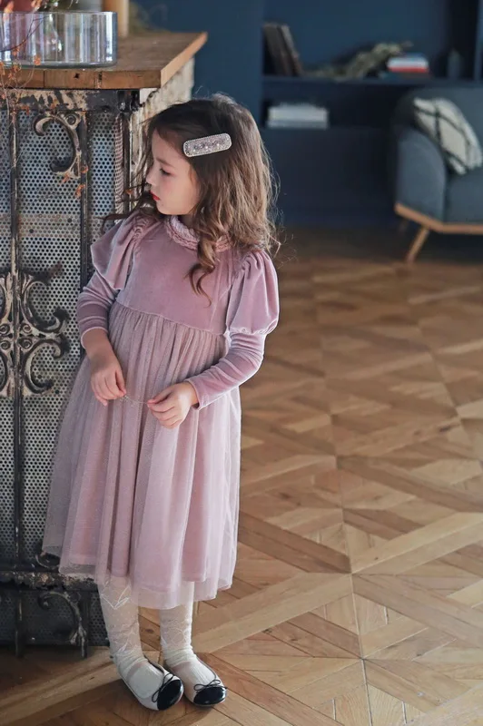 

2020 Fall Winter Kids Dresses for Girls Pleuche Velvet Long Sleeve Gauze Christmas Princess Dress Children Clothing E9662