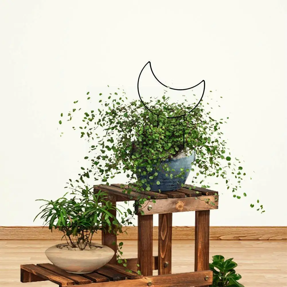 

Garden Plant Bracket Climbing Frame Five-pointed Star Moon-shaped and Fixed Wrought Indoor Metal Pole Outdoor Iron I4M3