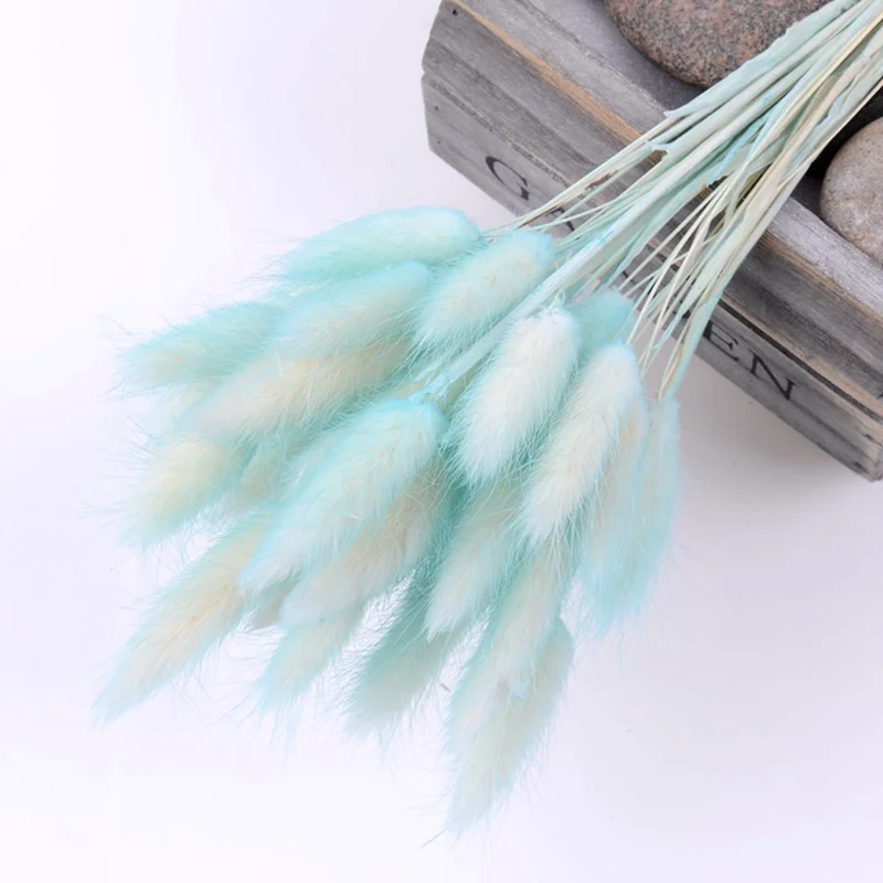 sky blue 30 шт./лот, градиентный букет из натуральных сушеных цветов с изображением лагуруса оватуса, свадебные украшения для дома, Кролик хвост, трава, настоящие цветы - Цвет: sky blue
