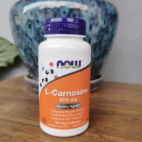 free shipping l carnosine 500 mg 50 capsules supports muscle vitality