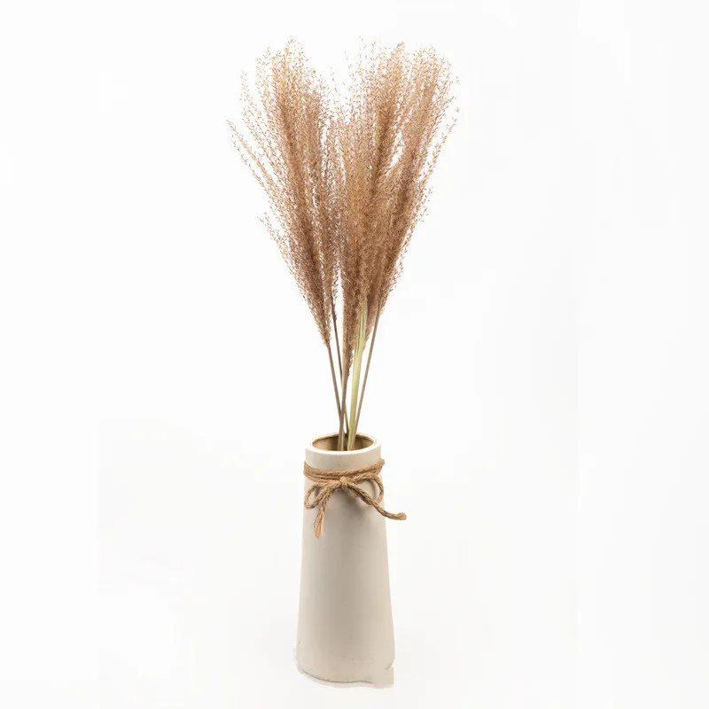 

Natural Dress Up Horsetail Whisk Wild Real Plants Small Reed Pampas Grass Dried Flower Home Window Wedding Phragmites Decoration