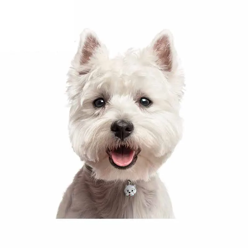

13cm*9cm Interesting Car Sticker Accessories West Highland White Terrier ID Tag Fine Car Styling Decal Vinyl Cover Scratches PVC