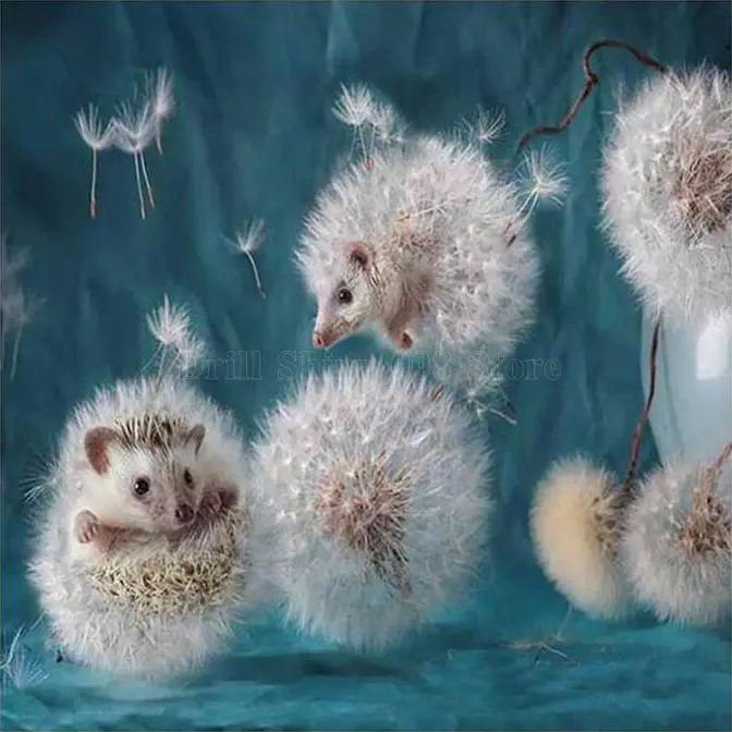 

5D DIY Diamond Painting Dandelion hedgehog Full Diamond Embroidery Cross Stitch Mosaic Needlework Crafts Home Decoration Gift