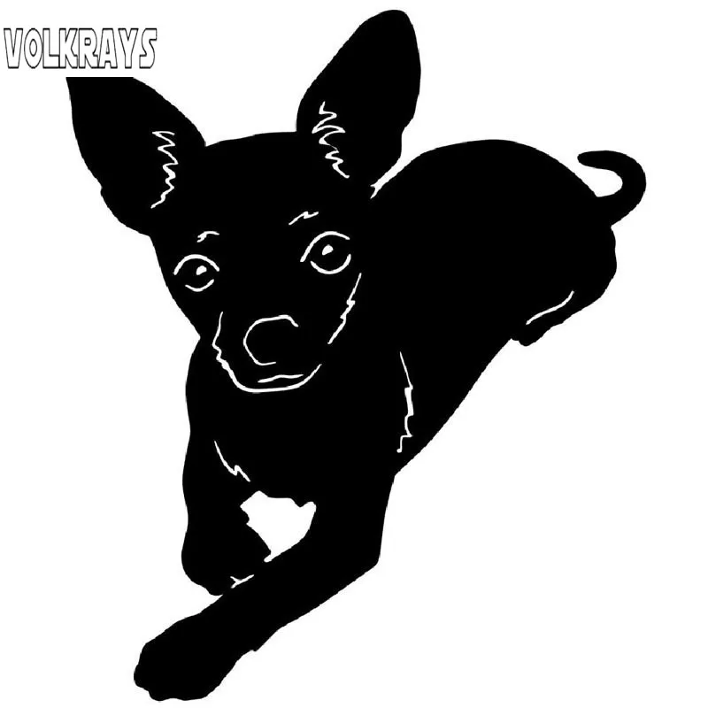 

Volkrays Lovely Car Sticker Chihuahua Pet Dog Accessories Reflective Waterproof Sunscreen Vinyl Decal Black/Silver,11cm*14cm