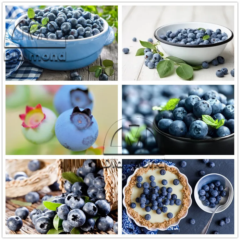 

5D Full Drill Diamond Painting Blueberry Mosaic Cross Stitch Diy Home Decoration Modern Fresh Fruit Diamond Embroidery Painting