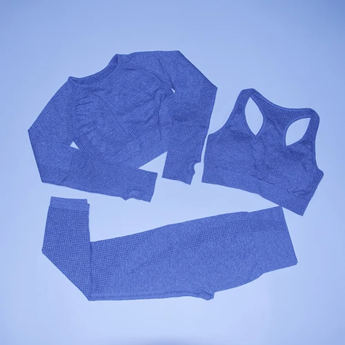 Gray set Vital бесшовный спортивный костюм, спортивный комплект, женская одежда для тренировок, бесшовные леггинсы, спортивный бюстгальтер пуш-ап, укороченный топ с длинными рукавами, комплект из 3 предметов для йоги - Цвет: Gray set