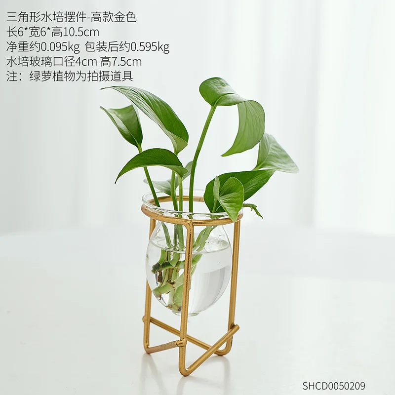 

Creative Wrought Iron Vase Glass Aesthetic Desktop Geometric Small Flower Vases Bedroom Nordic Jarrones Home Decoration DF50HP