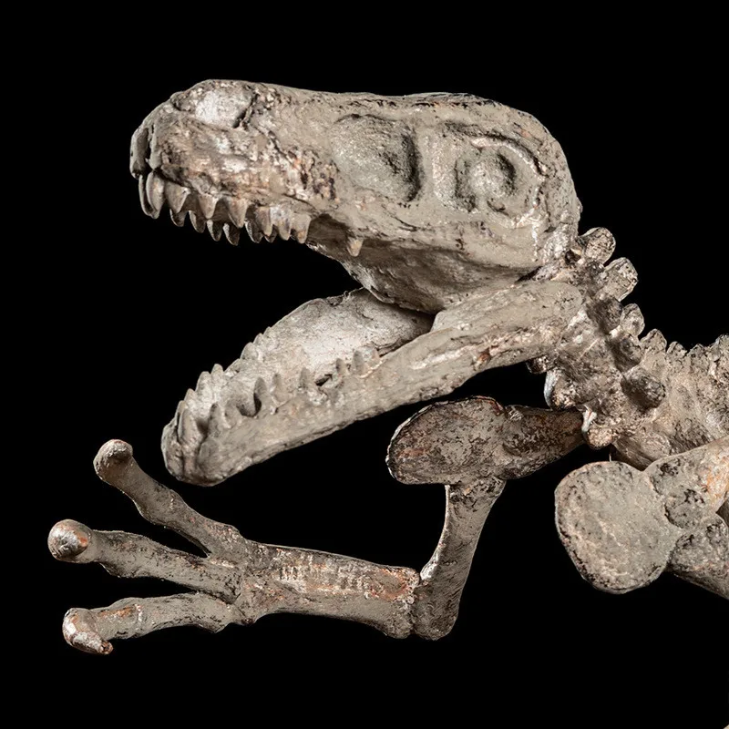 [HHT] каркас динозавра в стиле ретро поделки из смолы имитация животного динозавр