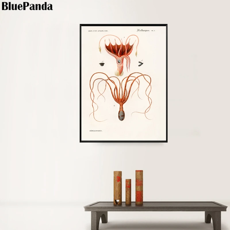 Животные кальмары картинки на стене художественные принты Скандинавская