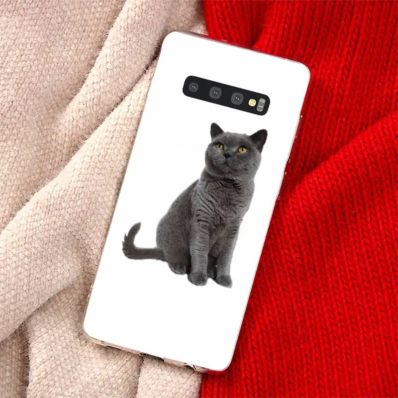 

Cute funny cat Phone Case Transparent for Samsung A71 S9 10 20 HUAWEI p30 40 honor 10i 8x xiaomi note 8 Pro 10t 11
