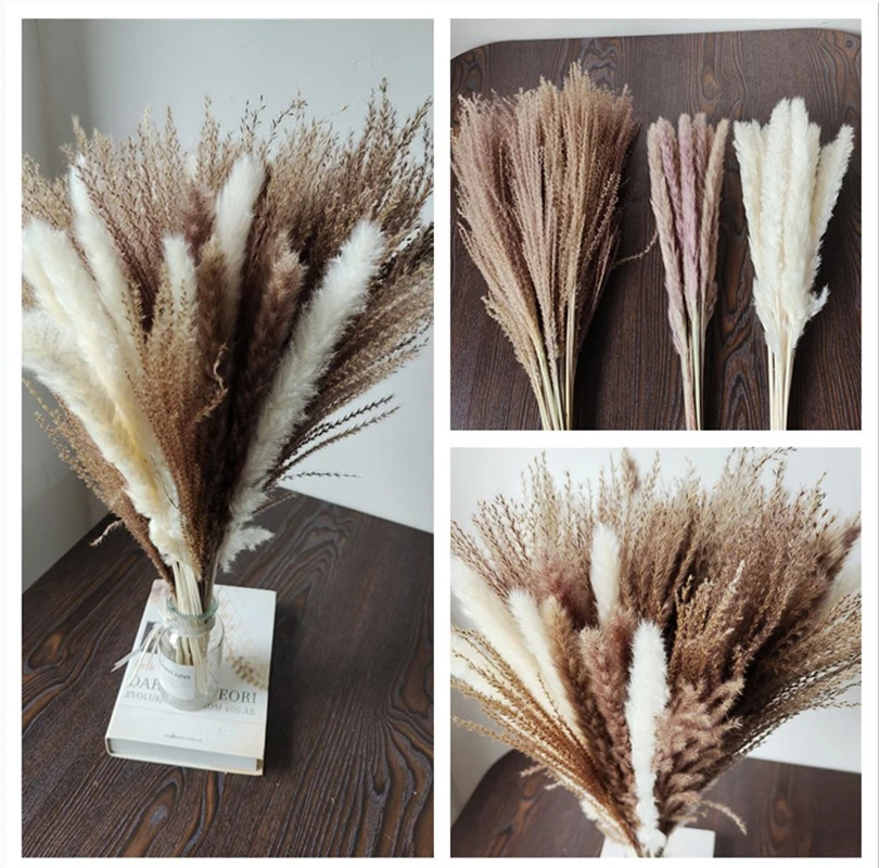 

45cm Reed Pampas Wheat Ears Rabbit Tail Grass Natural Dried Flowers Bouquet Wedding Decoration Hay for Party Bohemian Home Blume
