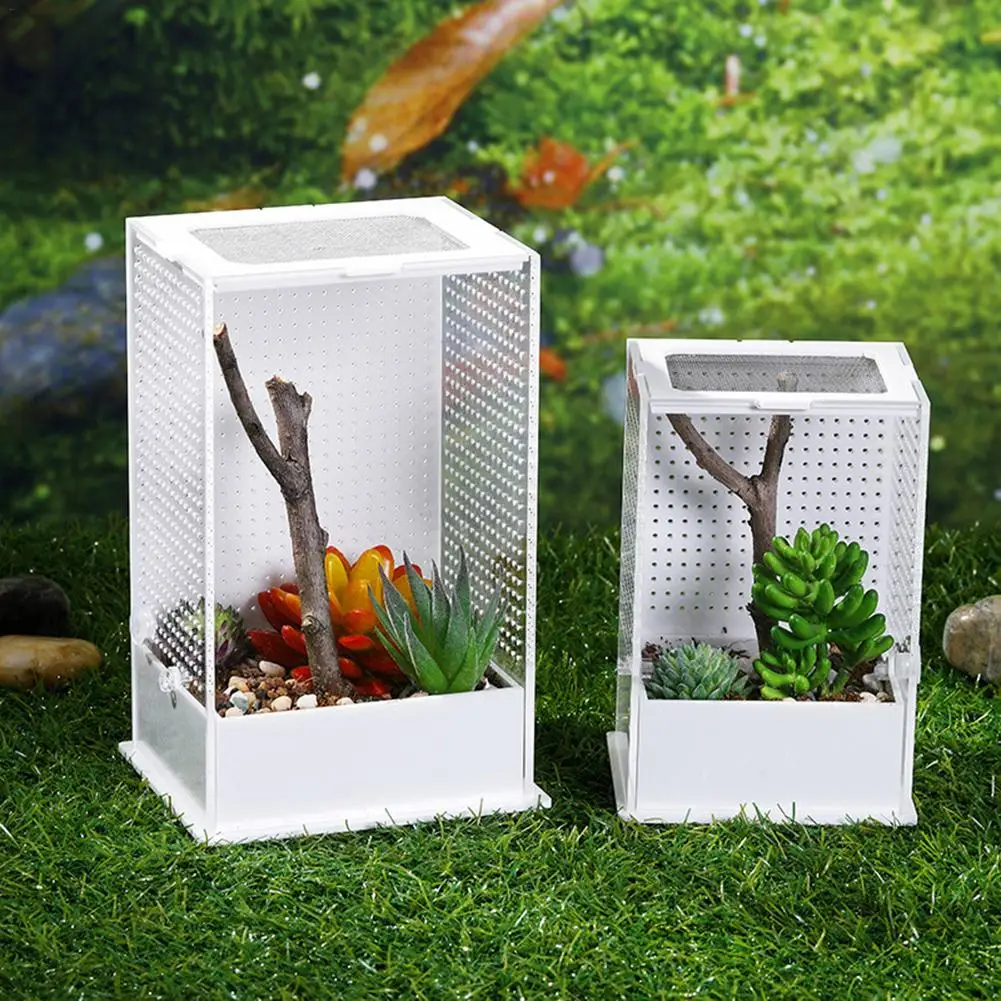 

Акриловая коробка для кормления Mantis, коробка для разведения насекомых, прозрачная коробка для кормления рептилий