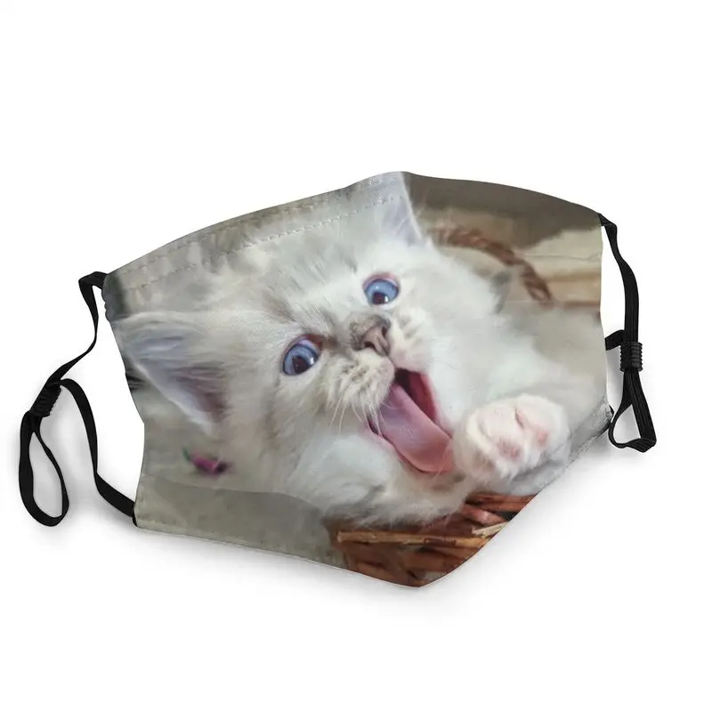 

Дышащая Маска для рта и лица Ragdoll с котенком, милая маска унисекс с котом для взрослых, пылезащитный чехол, респиратор, маска