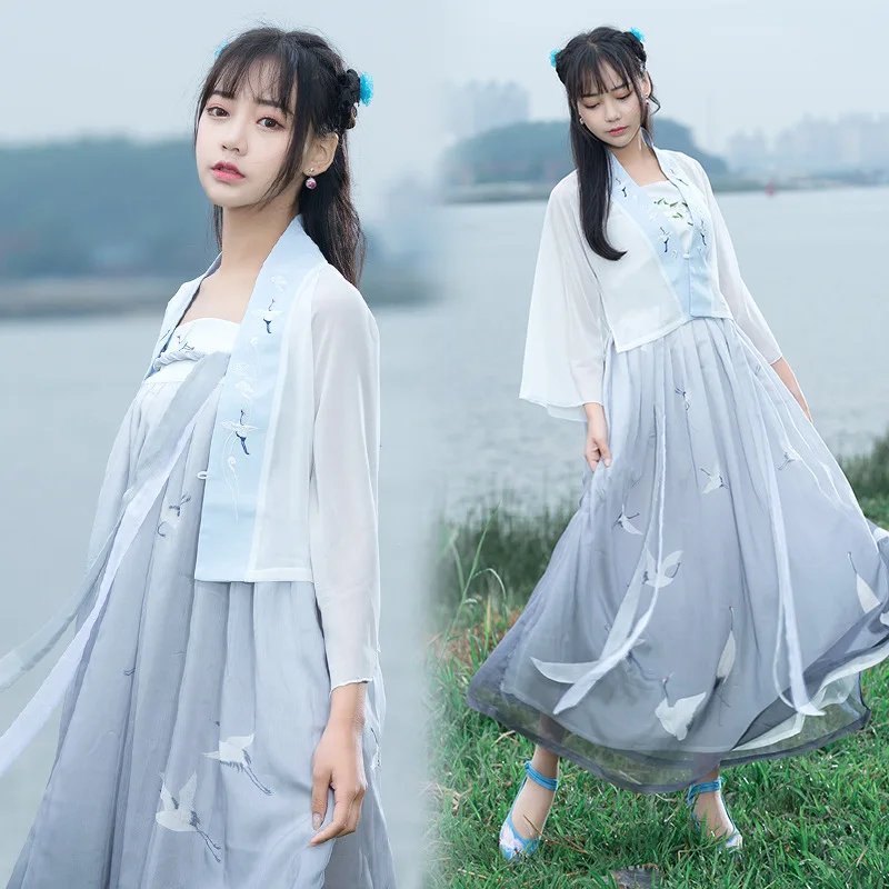 

Traditional Embroidery Hanfu Women Classical Dance Costume Crane Printing Fairy Dress Festival Outfit Performance Clothes DF1503