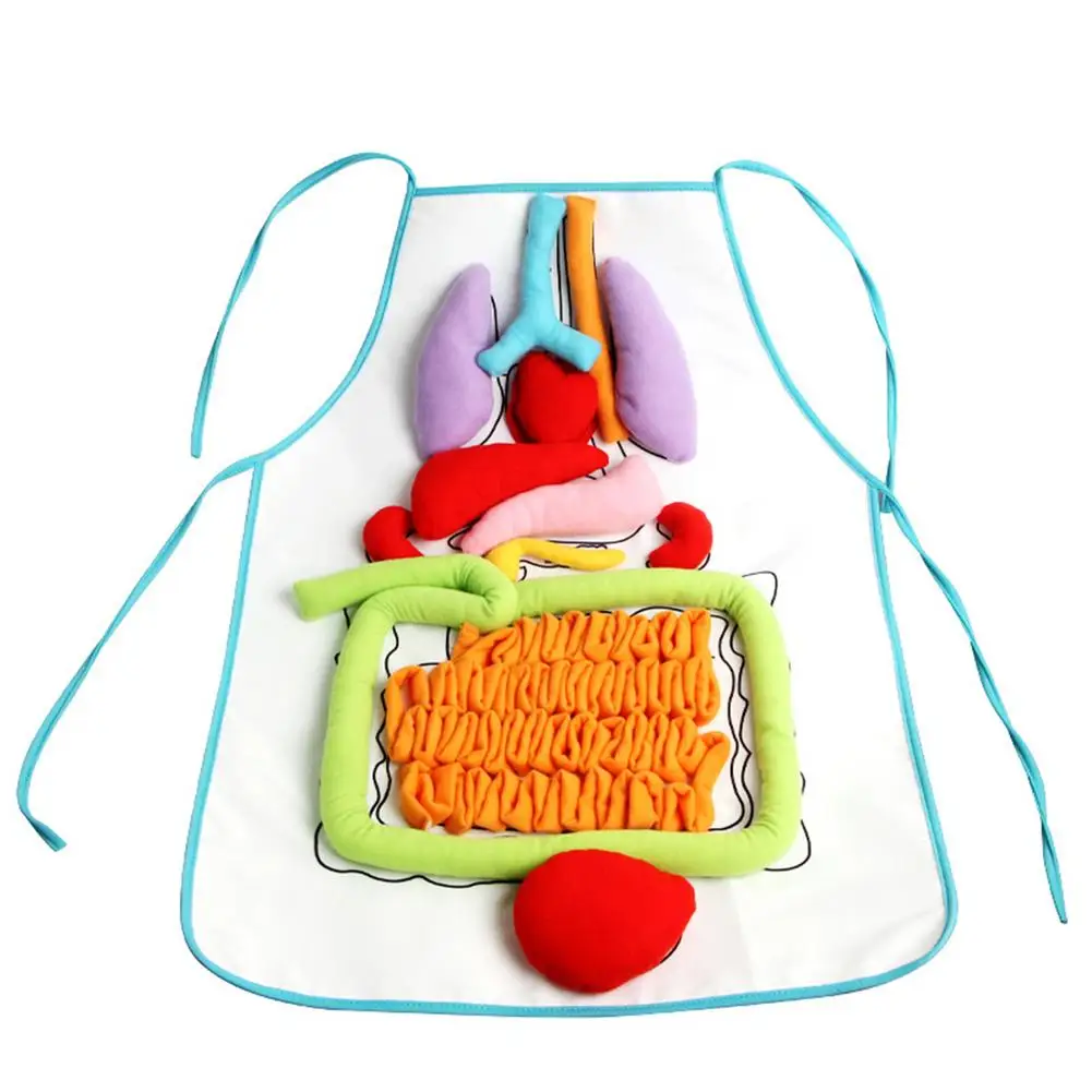 

Children Anatomy Apron Human Body Organs Awareness Preschool Science Home School Teaching Aids Educational Insights Toys