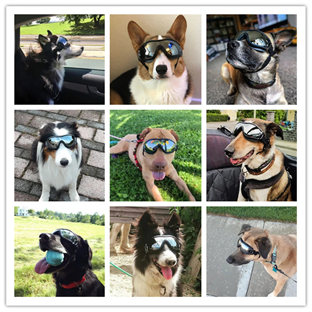 

Adjustable Pet Dog Goggles Sun Glasses Pet Goggles Eye Wear Puppy Eye Protection Cute Dogs Decoration Pet Dog Supplies Dropship