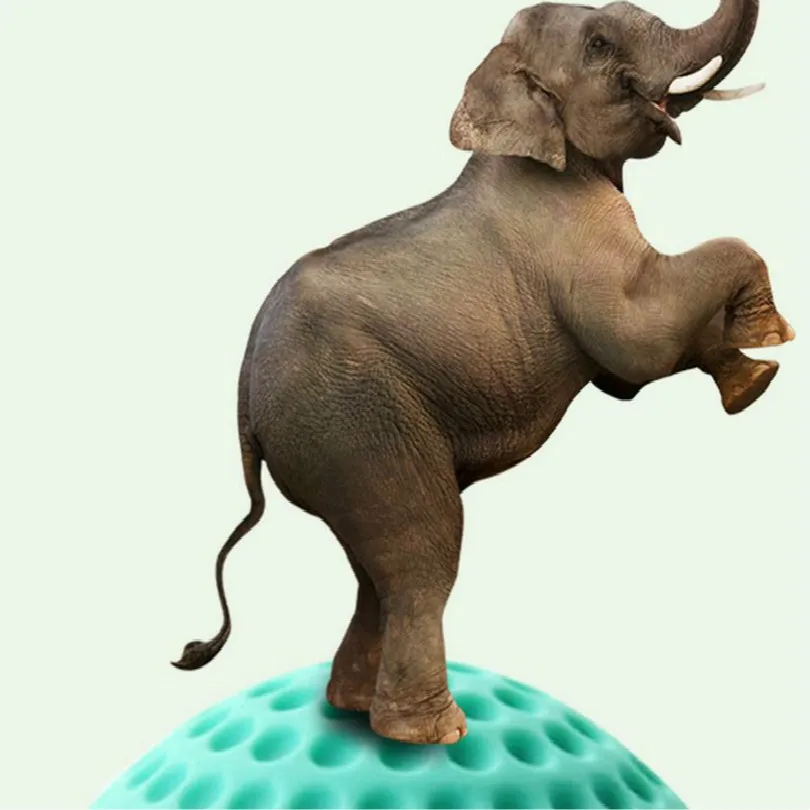 

buffer mat silicone with glue door stopper home improvement stoper door stop deurstopper door holder doorstop 5pcs/lot