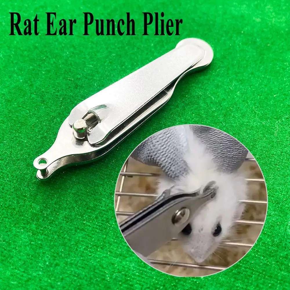 1 шт. Профессиональный грызун для домашних животных мышь крыса Дырокол