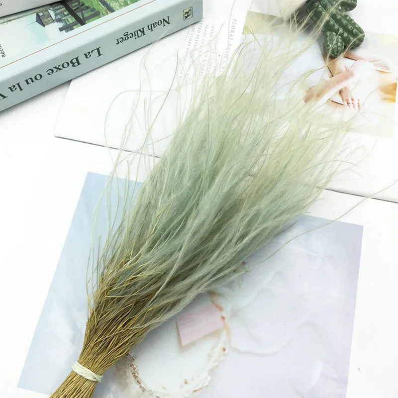

1 Bouquet Romantic Natural Dried Flowers Feather Grass Home Office Window Decoration DIY Wedding Arrangement Photo Props